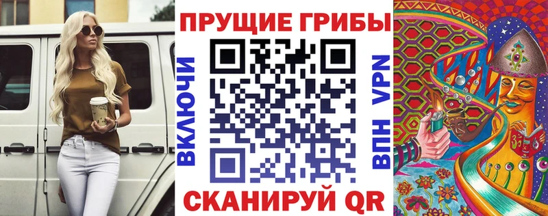 Псилоцибиновые грибы Psilocybine cubensis  купить наркотик  Городовиковск 